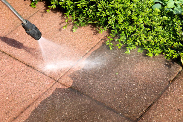 Best Affordable Pressure Washing  in Channel Lake, IL